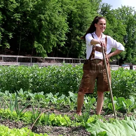 Slovenia Eco Holiday park