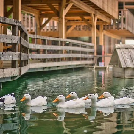 Slovenia Eco 3*