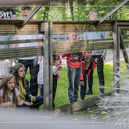 Slovenia Eco 3*