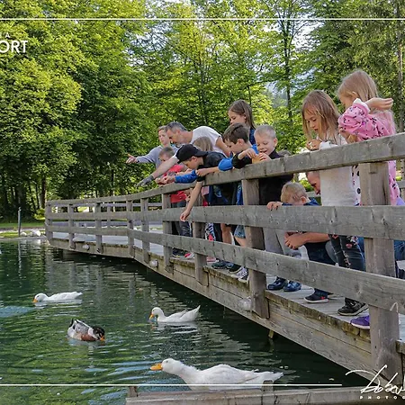 Slovenia Eco 3* Stahovica