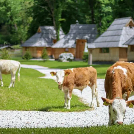 Slovenia Eco Holiday park