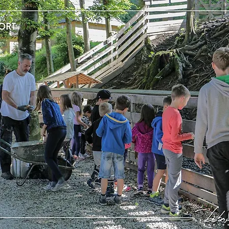 Slovenia Eco Holiday park Stahovica