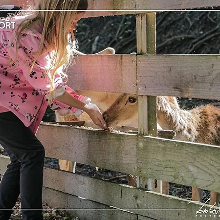 Slovenia Eco Holiday park