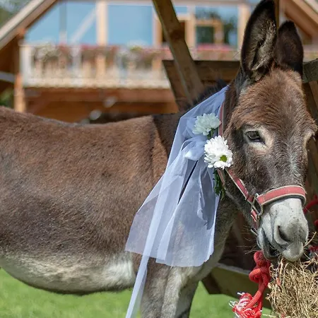 Slovenia Eco 3* Stahovica