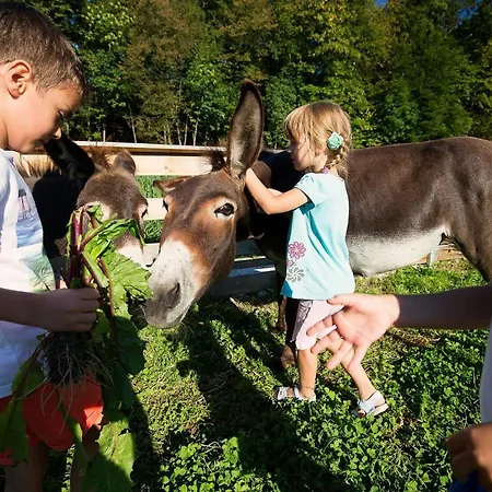 Slovenia Eco 3*