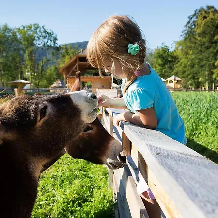 Slovenia Eco 3* Stahovica