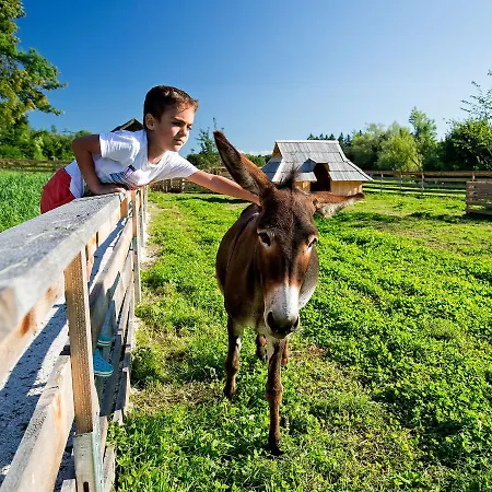 Aldeamento Turístico Slovenia Eco 3*