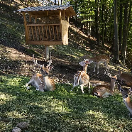 Slovenia Eco Stahovica