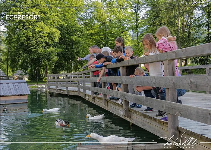 Slovenia Eco 3* Стаховица