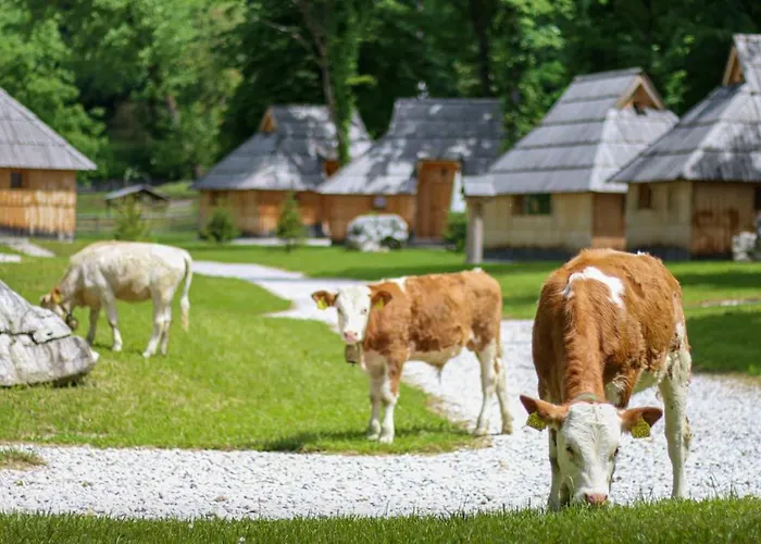 Slovenia Eco База отдыха