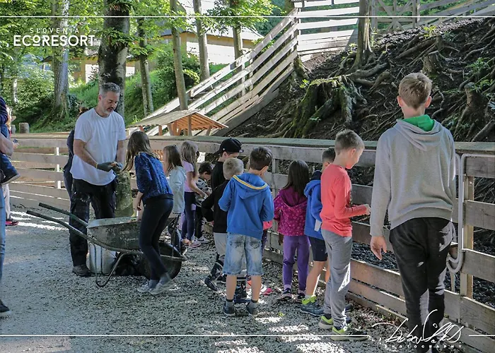 Slovenia Eco База отдыха Стаховица