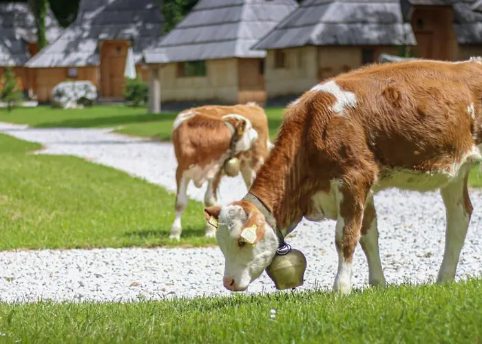 Slovenia Eco 3* Стаховица