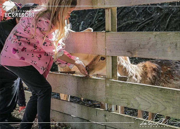 Slovenia Eco База отдыха