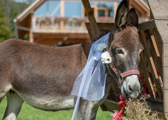 Slovenia Eco 3* Стаховица