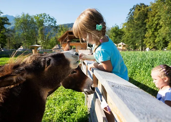 Slovenia Eco 3* Стаховица