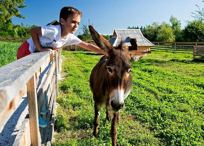 База отдыха Slovenia Eco 3*