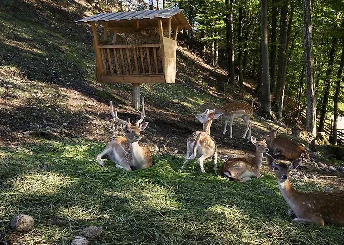 Slovenia Eco Стаховица