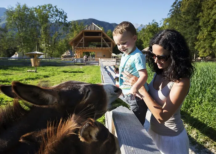 База отдыха Slovenia Eco Стаховица